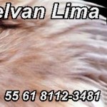 fotos-delvan-lima-especiais18